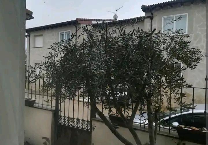 Vivienda Adosada , Con Merendero En Carcedo Carcedo de Burgos Exterior photo